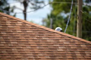 trusted roofing expert in Dallas